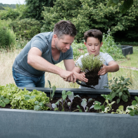 Jardiniera pentru gardinarit Terra-in place